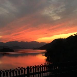 国产网曝门真实在线
