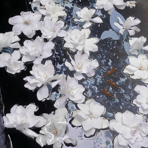 国产网曝门真实在线
